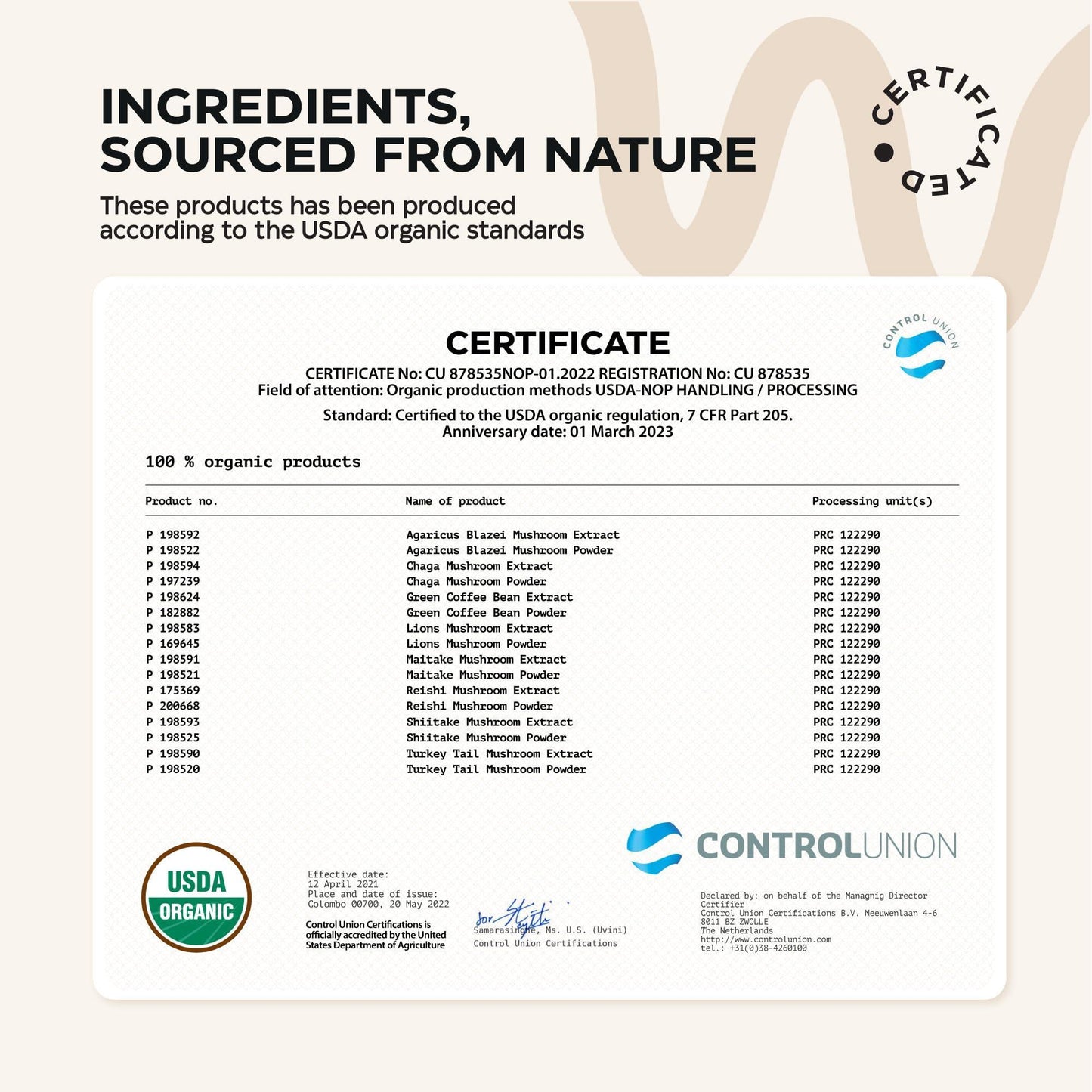 Mushroom Coffee   9 Mushroom Adaptogen Mix   Lion's Mane Chaga Turkey Tail Reishi Shiitake   Instant Coffee Powder for Gut Health Immunity Energy Brain Boost   No GMO Sugar Free Keto Friendly