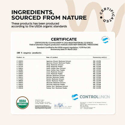 Mushroom Coffee   9 Mushroom Adaptogen Mix   Lion's Mane Chaga Turkey Tail Reishi Shiitake   Instant Coffee Powder for Gut Health Immunity Energy Brain Boost   No GMO Sugar Free Keto Friendly